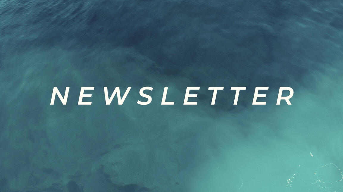 Newsletters